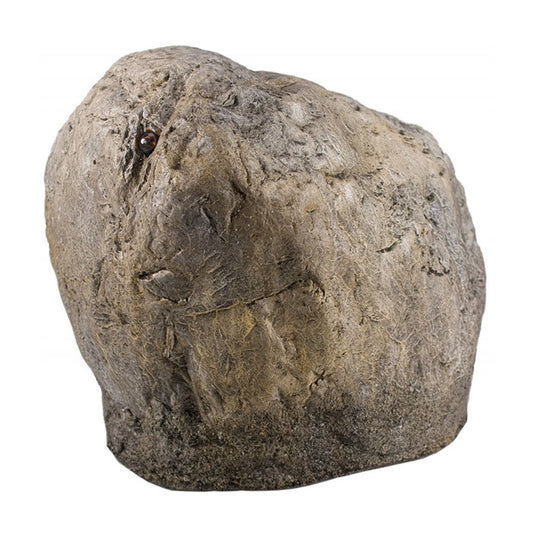 Landscape Stone Hidden Camera Recorder - Main