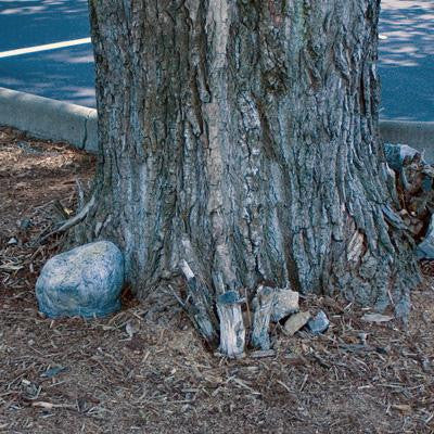 Landscape Stone Hidden Camera Recorder - in use